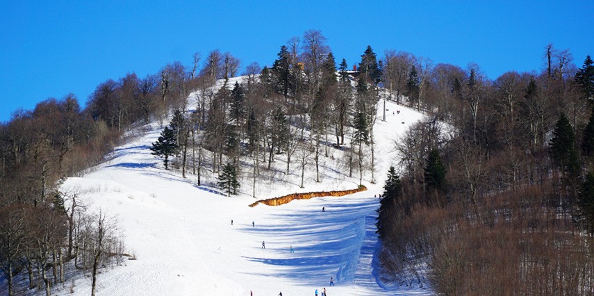 Kartepe