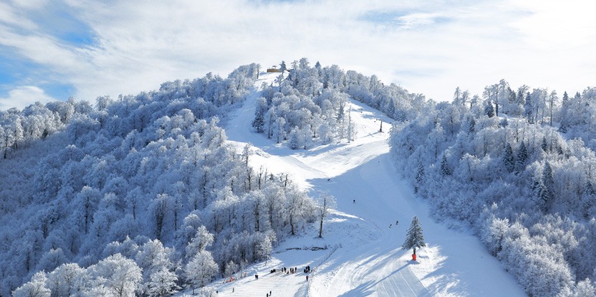 Kartepe