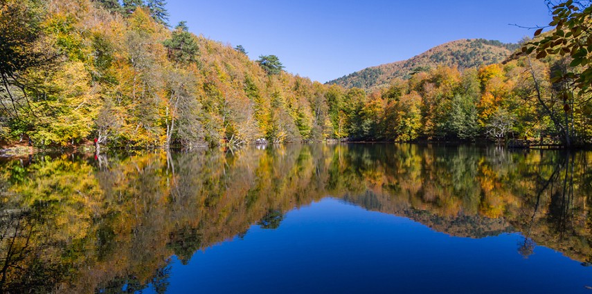 Sapanca Turu